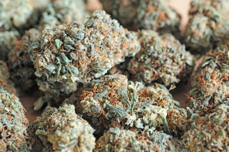 Caught With weed