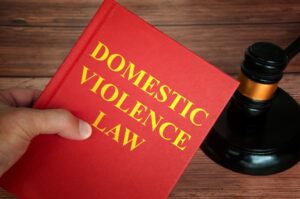 Domestic violence law  book